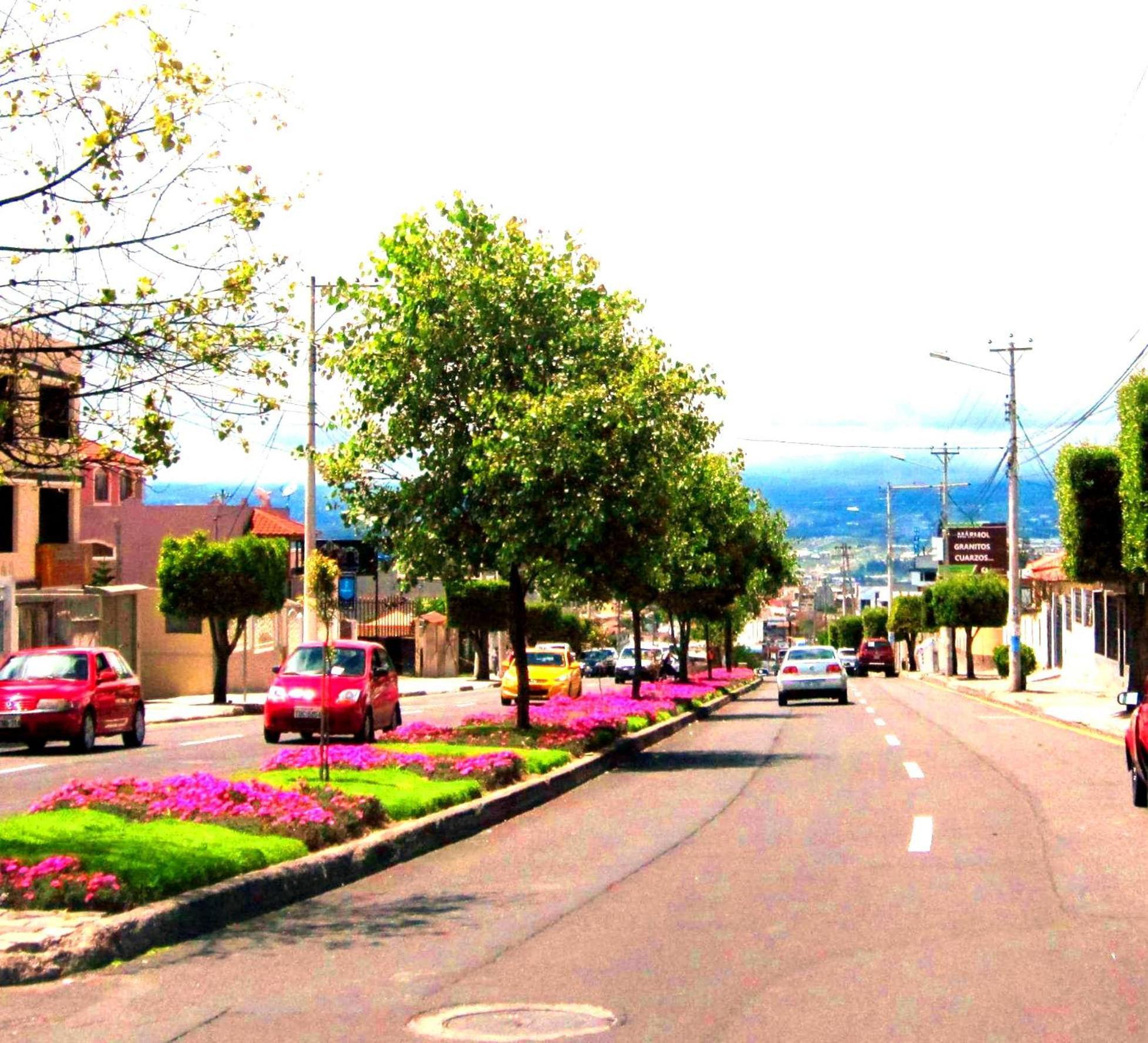 Instant Hotel - Departamento En Ambato Buitenkant foto